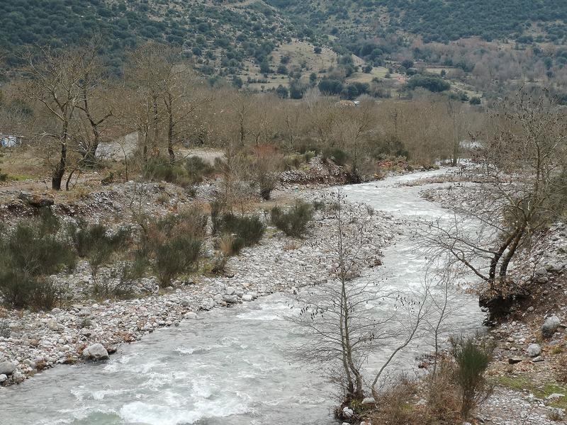 ΚΟΠΗ ΠΡΩΤΟΧΡΟΝΙΑΤΙΚΗΣ ΠΙΤΑΣ ΠΕΛΟΠΟΝΝΗΣΟΥ 2019 - Σελίδα 2 IMG-20190127-141736