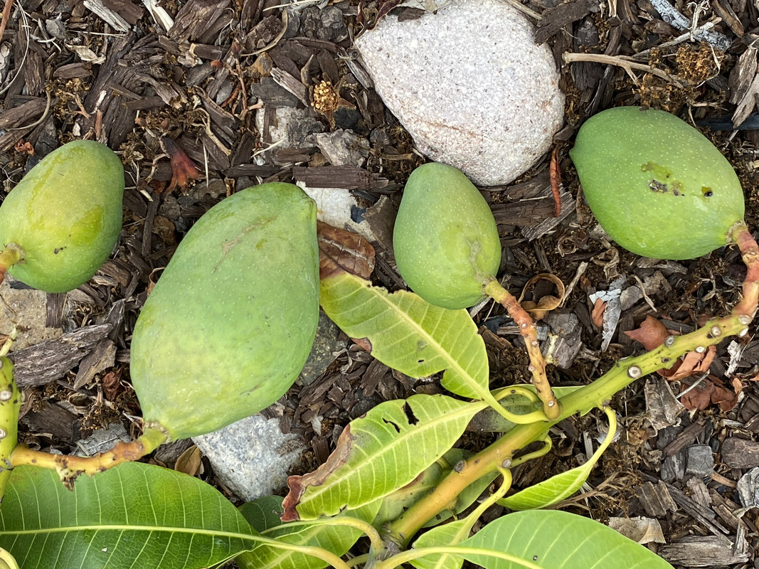 51929EEA-B731-4438-BD9D-73BA255B8664