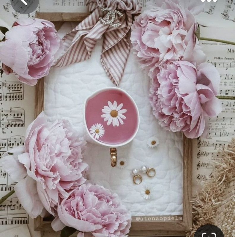 Screenshot_20230408_000027_Pinterest