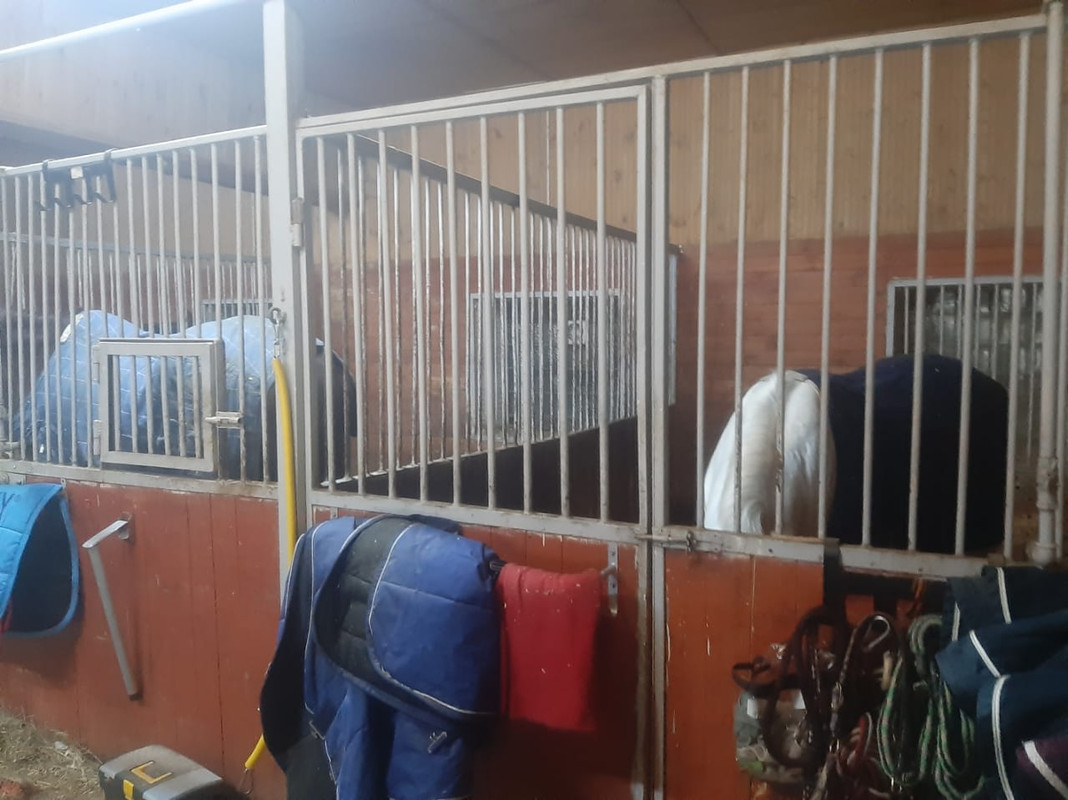 WhatsApp Image 2021-03-05 at 12.14.49 (2)