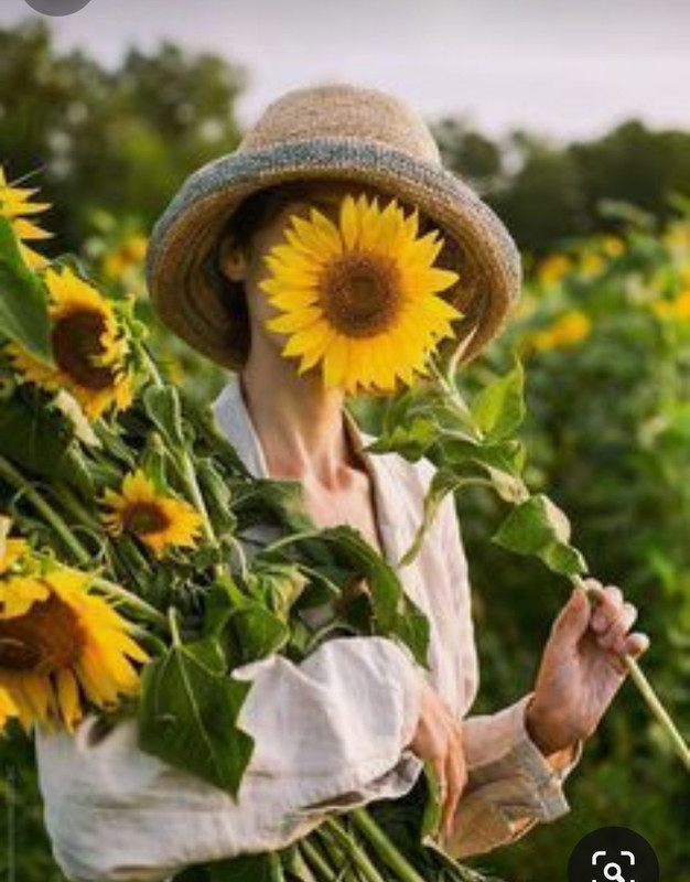 Screenshot_20230913_224706_Pinterest