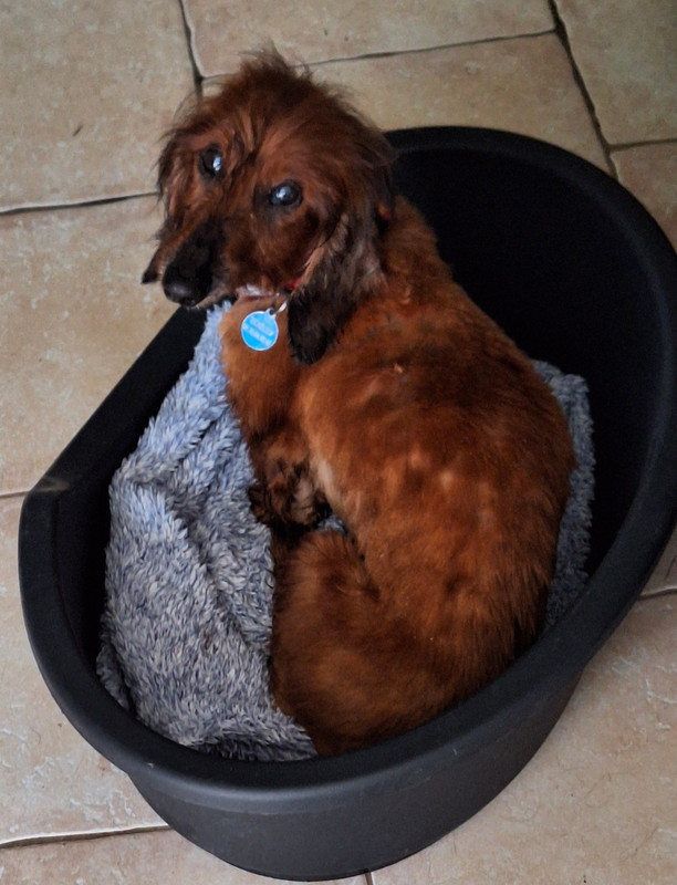 [Image: 20240314-105344.jpg]