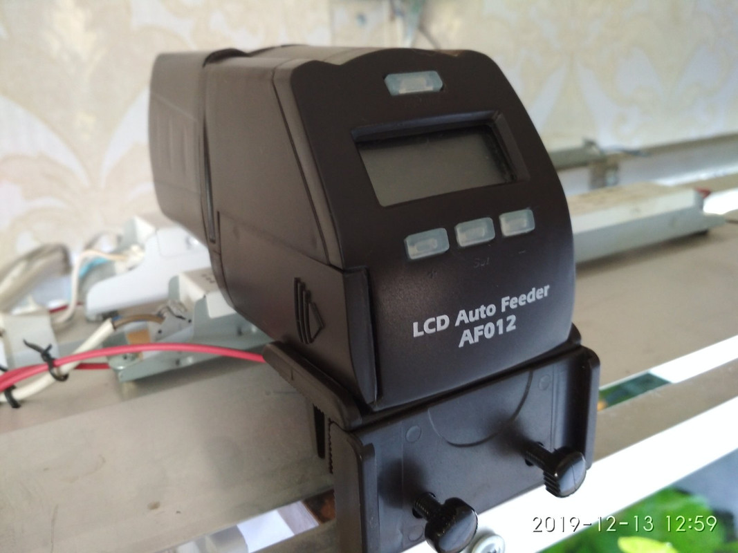 изображение_viber_2019-12-13_13-01-51