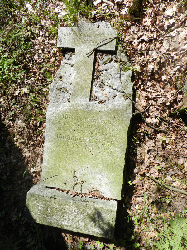 10a.05 - DSCN0078 (Milady)