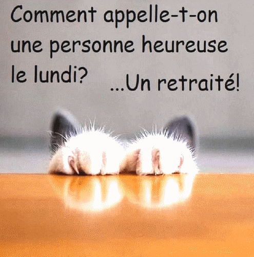 Sans-titre-1