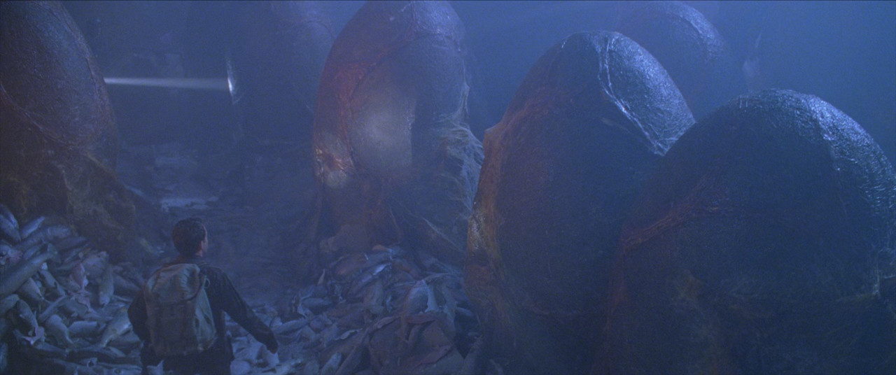 Godzilla 1998 RM4K (1080p x265 10bit Tigole).mkv_snapshot_01.30.