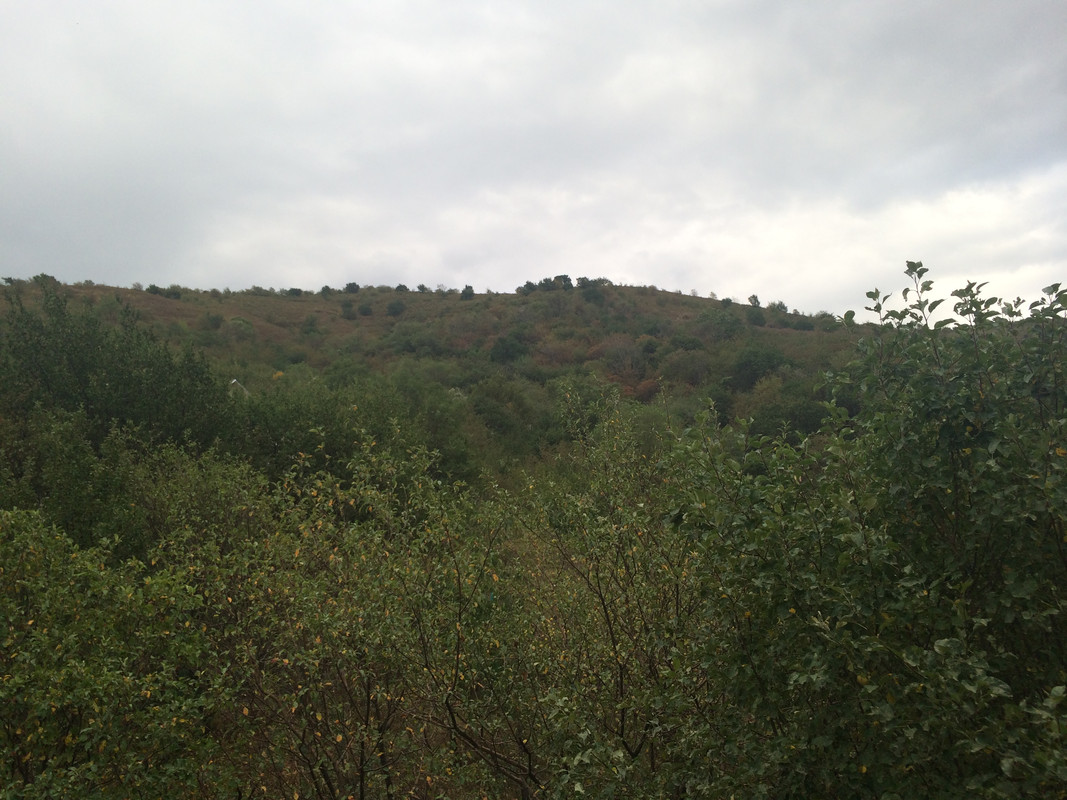 F0A6B9A5-087A-4F28-80F6-7B0D421EB649