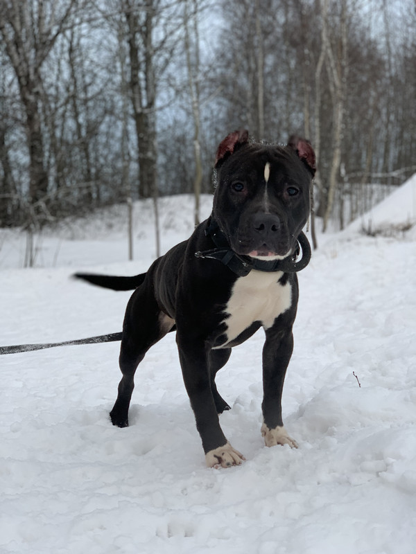 C919D118-7843-4E8A-8C5F-574C96E23D19