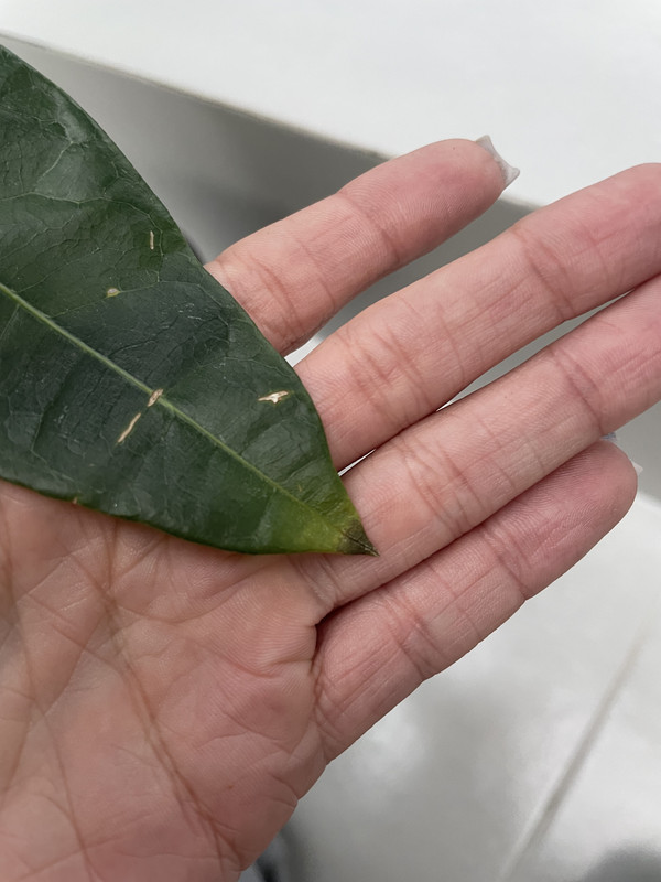 78E4F327-E992-4020-8241-DC45AE048F8C