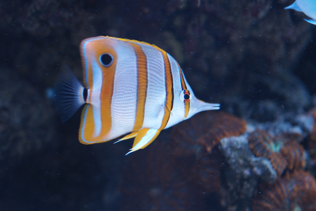 761CFD47-09F4-4F5B-A74B-292DB04561D7