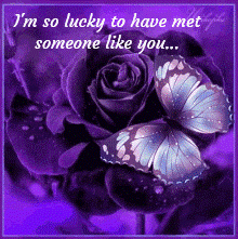 purple-rose-animated-gif-with-text