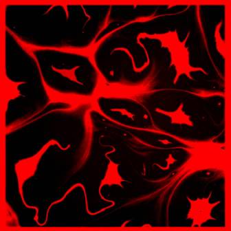 [Slika: Magellano-Life-That-Said-Yes-folder.jpg]