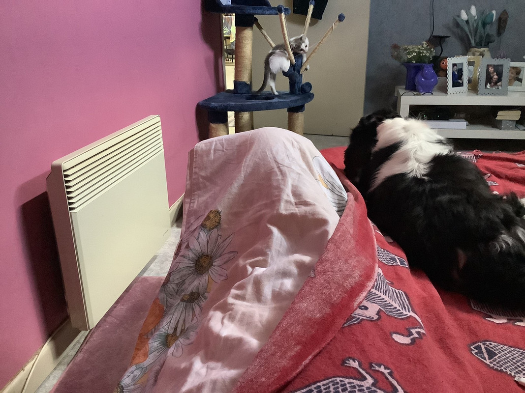 201D8A29-2632-4C42-B2A9-ACCC488F3CAE