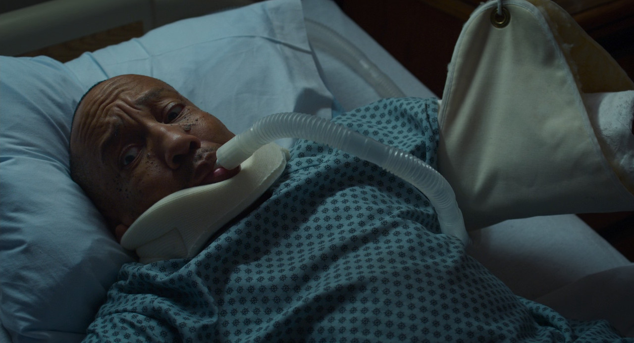 Bad Santa 2 2016 Unrated (1080p x265 10bit Tigole).mkv_snapshot_