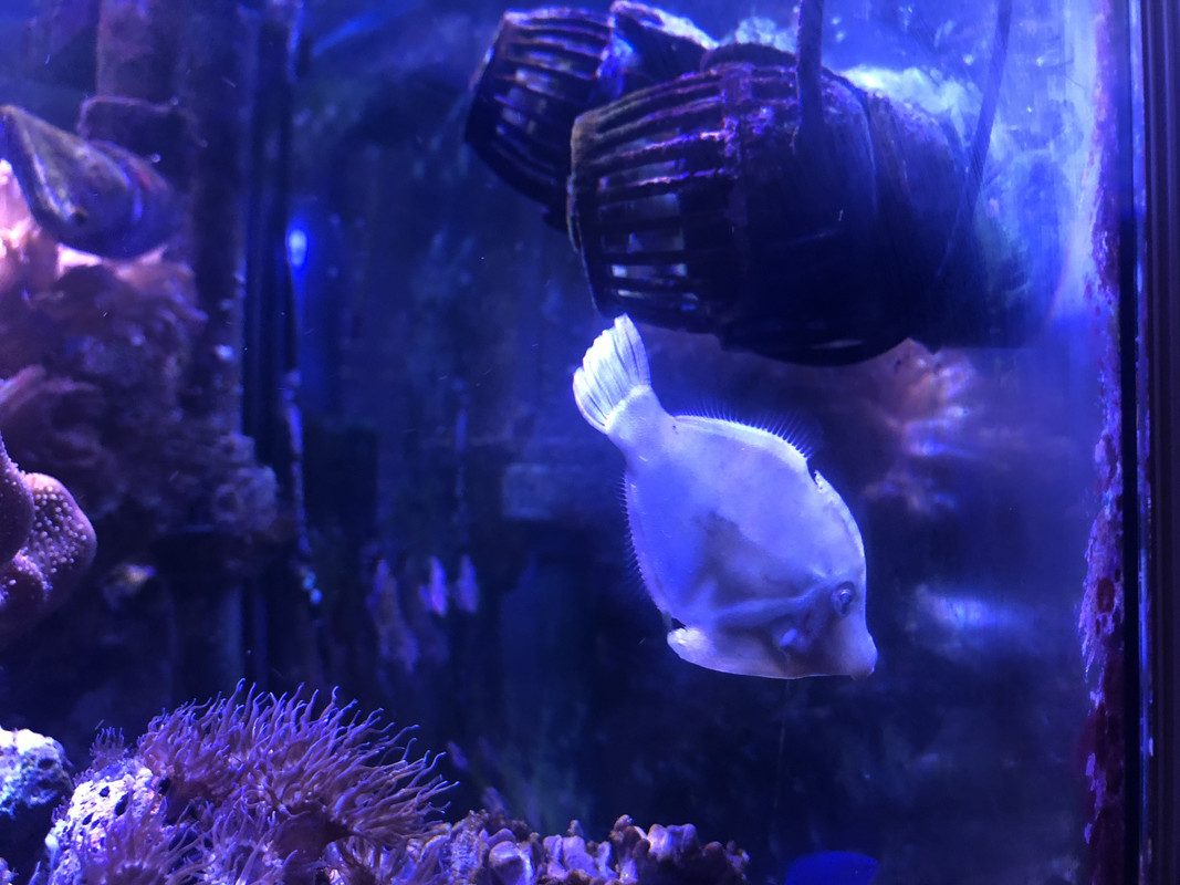 E0E0398D-168E-4F12-AA7D-C9A7C78CB7E9