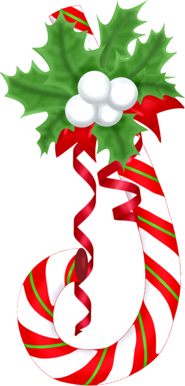 Christmasswishoffairydnxmascane