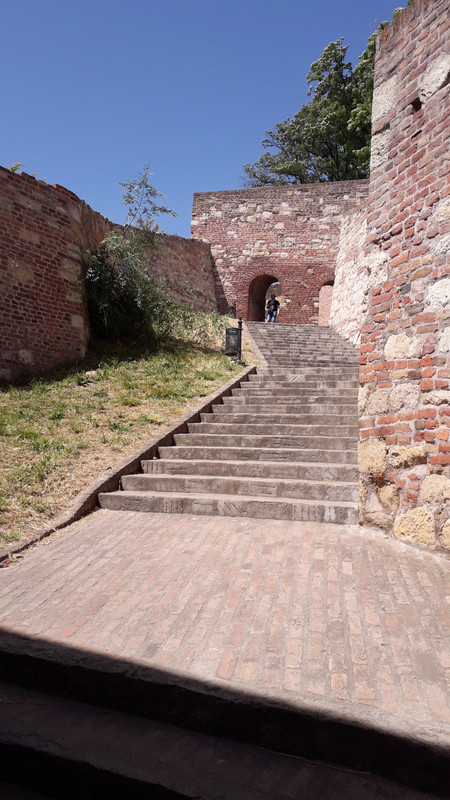 Slika