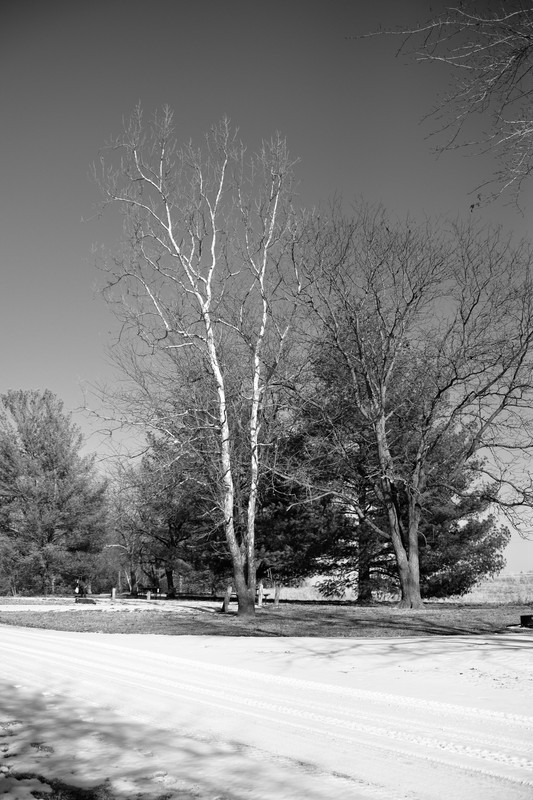 DSC_7116