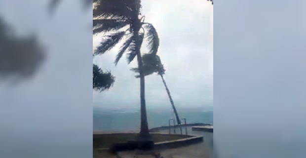 6021831485e057ae522c7df6af7dbc