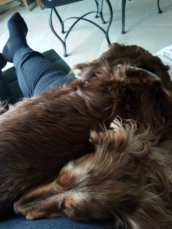 [Image: IMG-20230513-155146.jpg]