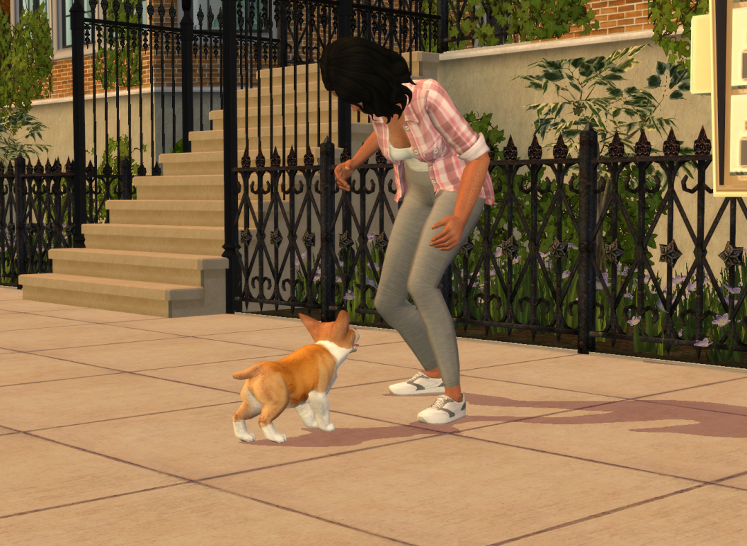 Sims2-EP9-RPC-2024-09-22-10-31-58-83