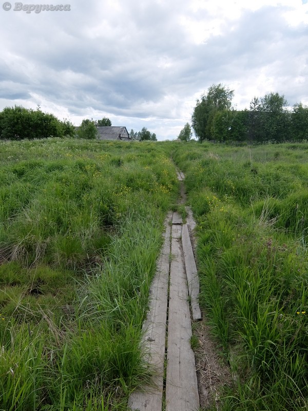 DSCF7425