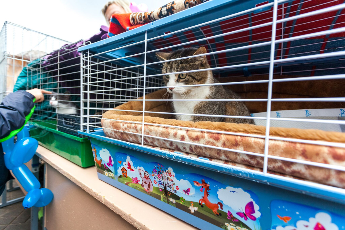 E914CBF2-55D8-4098-ACF4-F9BE1F0FD7B1