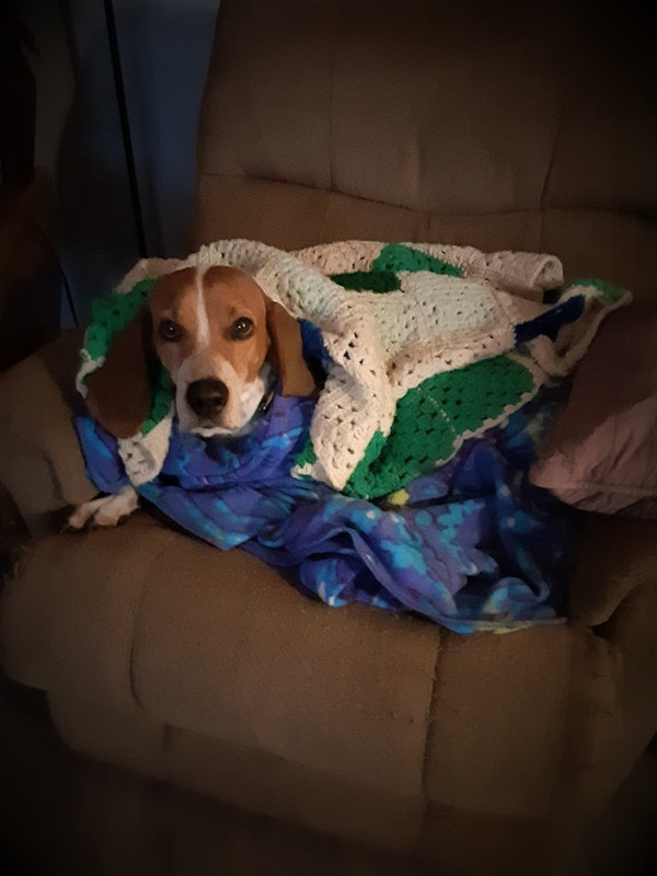 Resized_20191220_054851 (1)