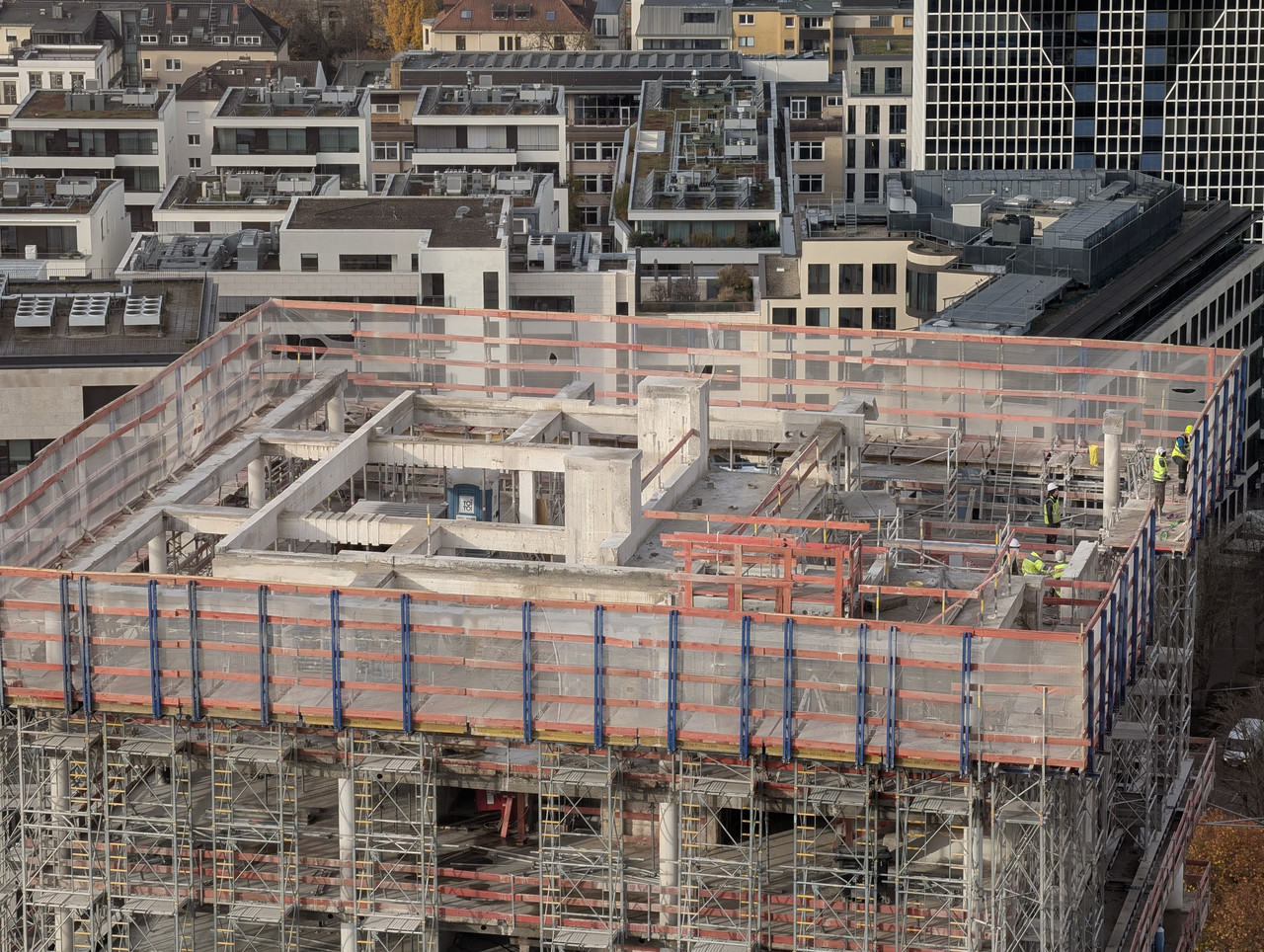 PXL 20251113 091708405