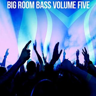 Big Room Bass Vol.5 (2018) .mp3 - 320 kbps