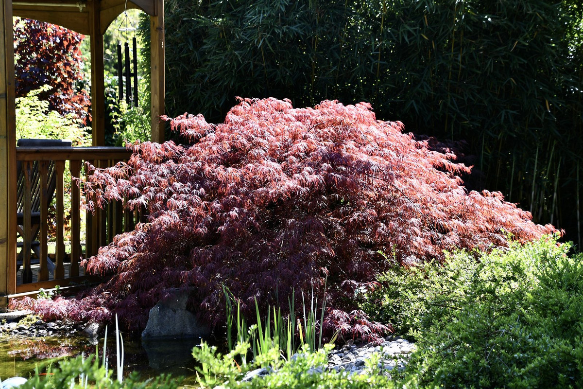 FA2F92A9-527D-43BA-999D-CA5AD7B822B3_1_201_a