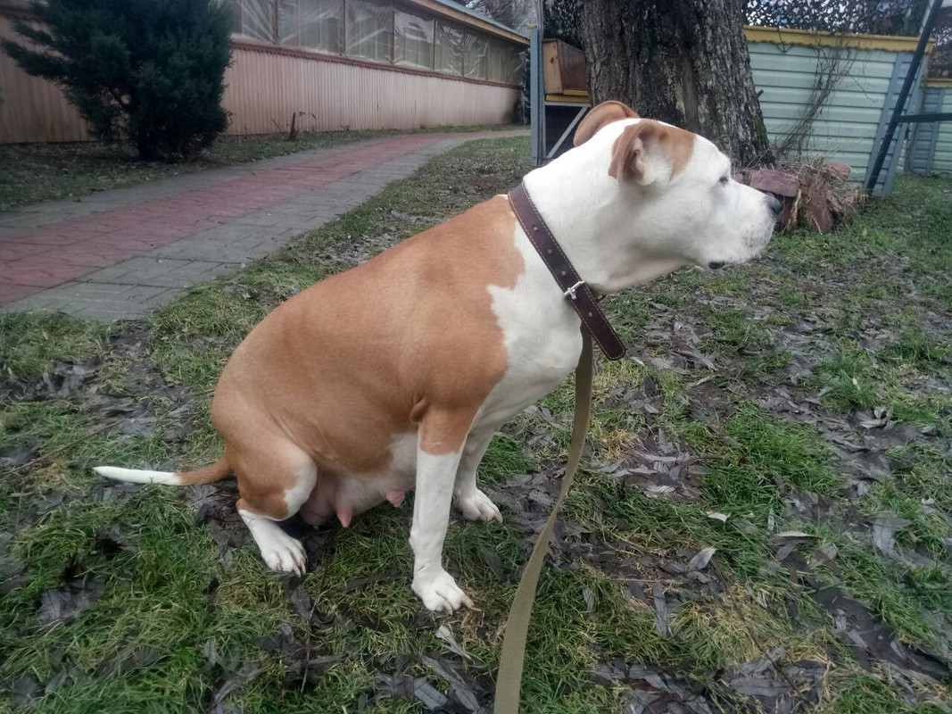 IMG-d26130b8b2f5051e3bea09104f06ee95-V