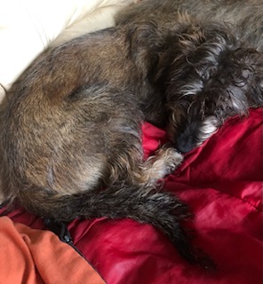 [Image: IMG-20240528-172045.jpg]