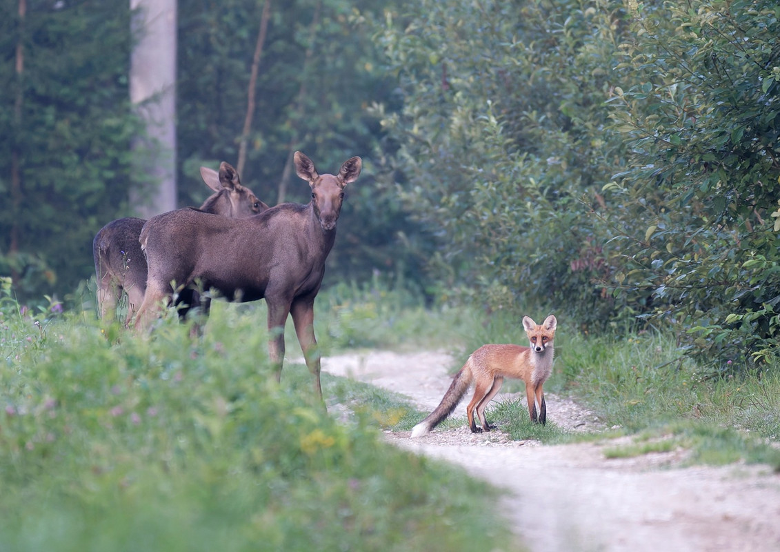 7EHkxEr2DIq9AsAjp8gE5O5EzSfULcrG4U9s-hSVMOHbi_DykYTguwSyyf0S-qDa2KG2ywxYcsSUeEWX76Z8VWAf