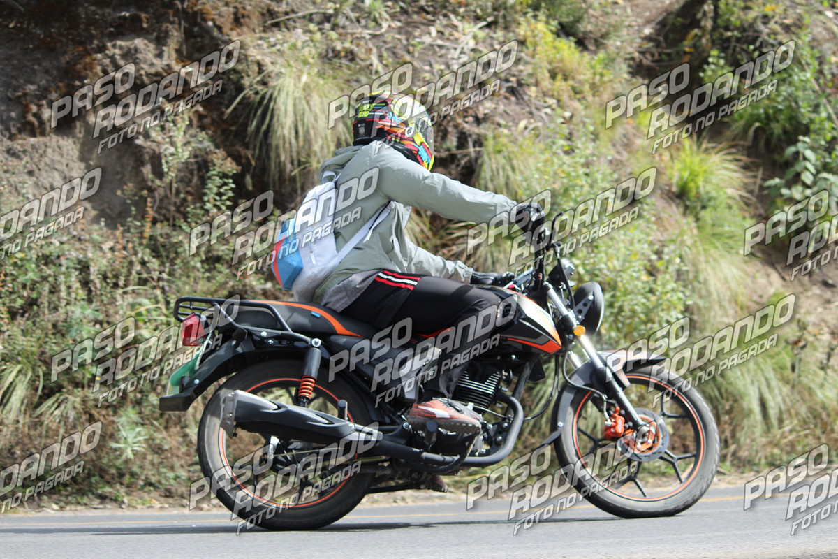 IMG 7437 wm 199183 90000000037 watermarked — Postimages