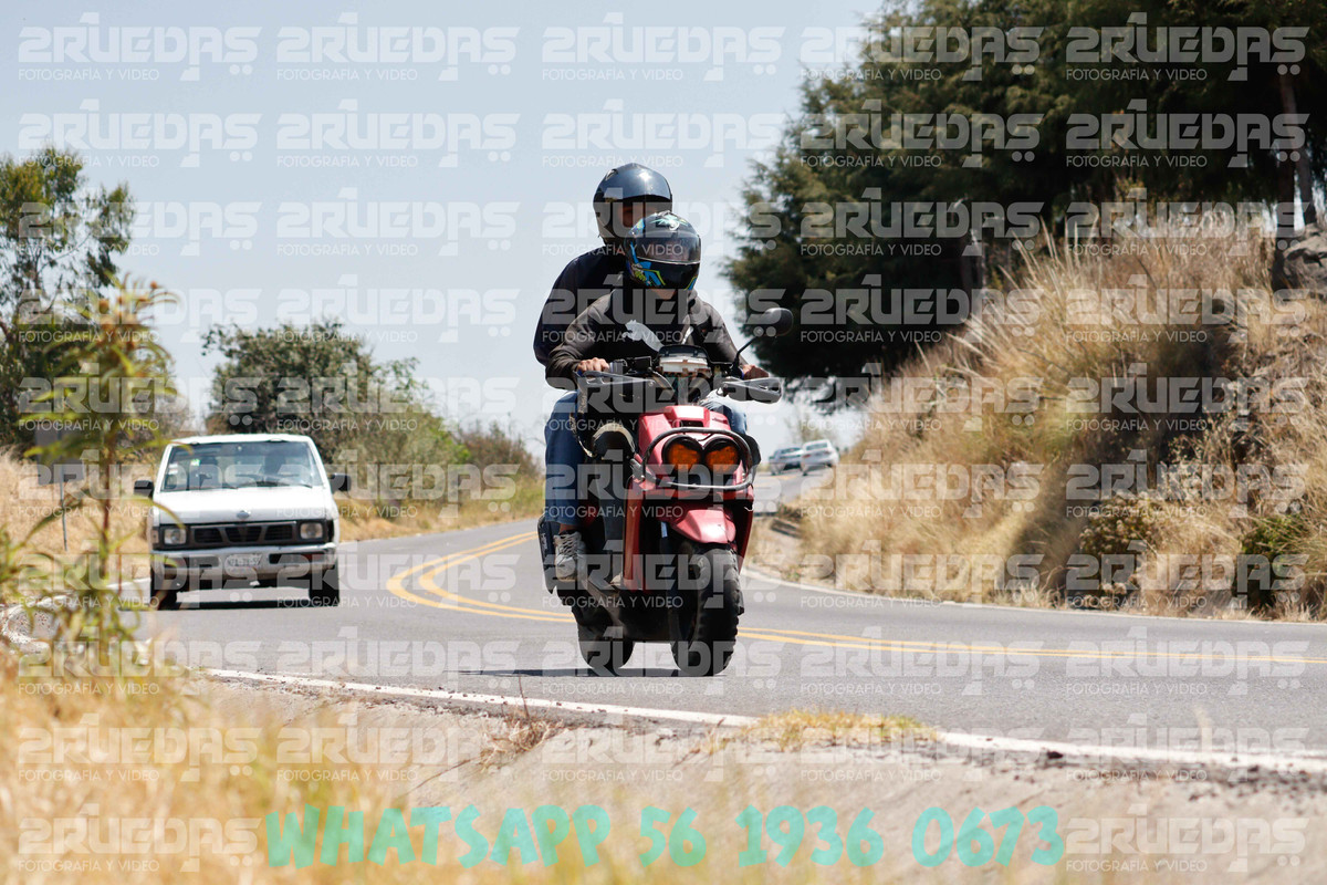 MG 0646 — Postimages