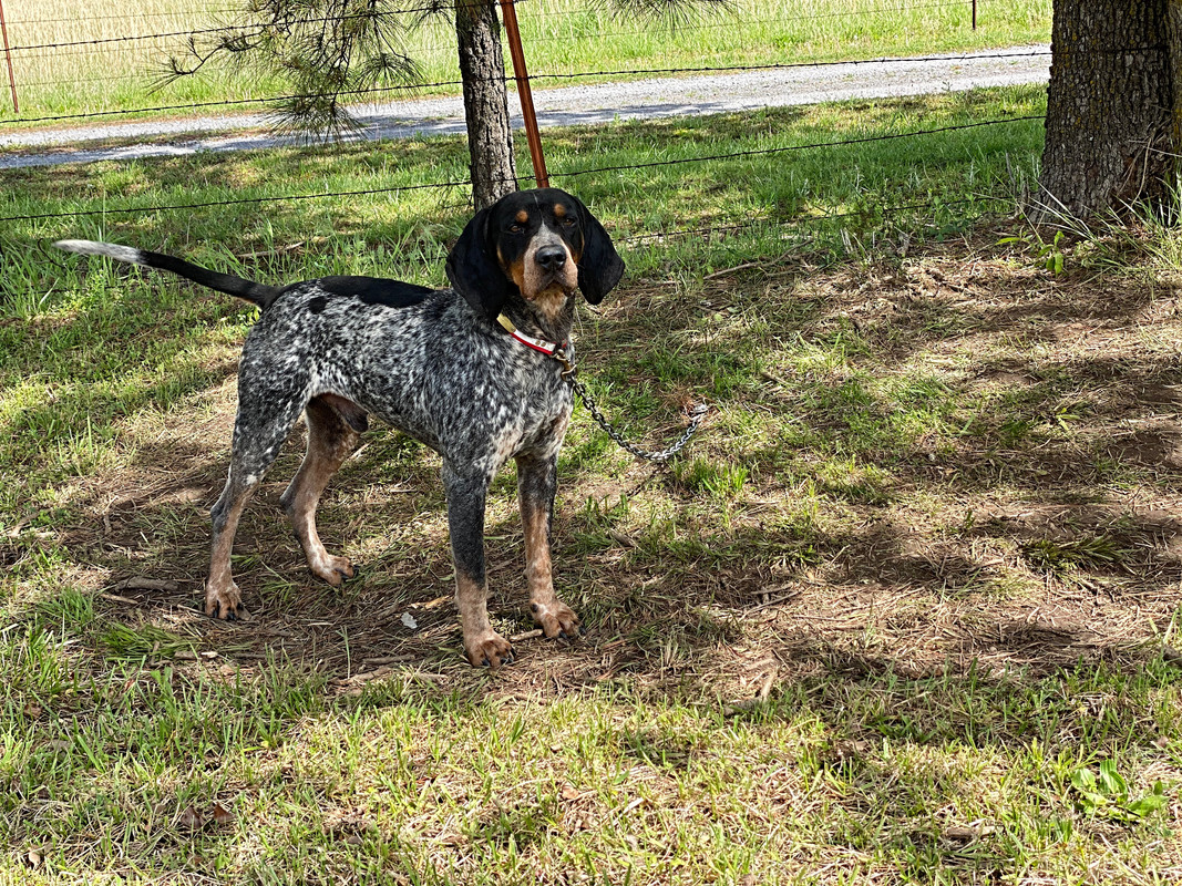 E601E2F6-E645-4142-A4EF-977DB304B08E