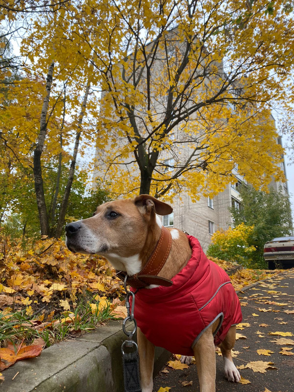 2CF93B73-8F4F-4886-AE63-BE58AC2D4BCA