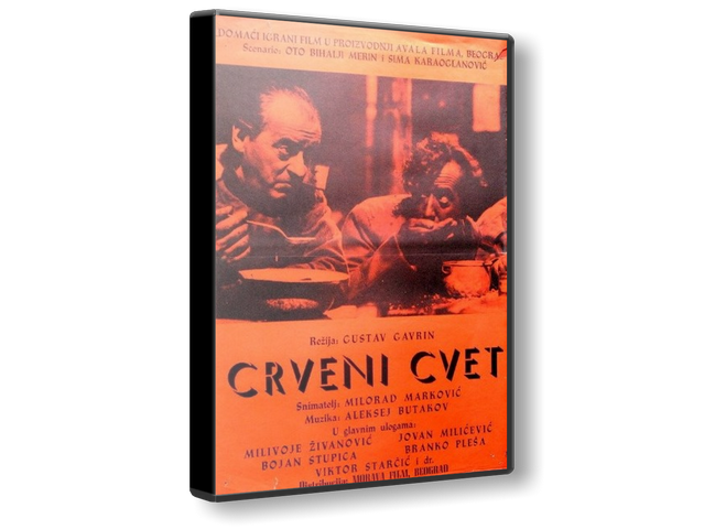 Crveni-cvet-1950.png
