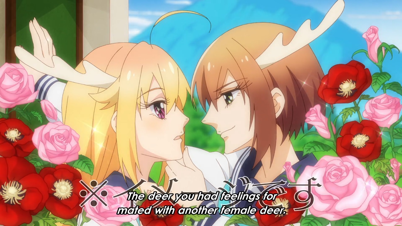 lololol.jpg