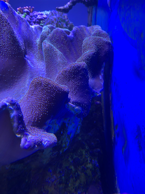 F791B869-5D85-4440-A3D5-694CB44F878F