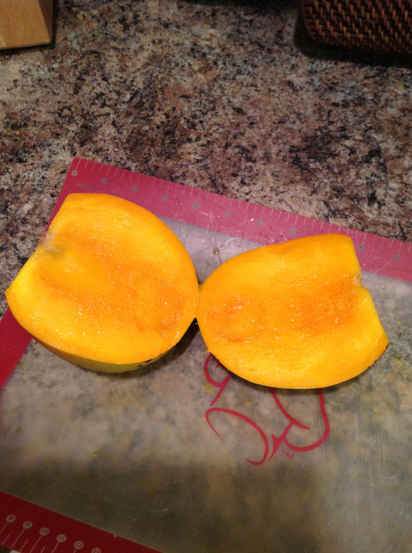 cfe233764406e49e3c550df3aca1d95b