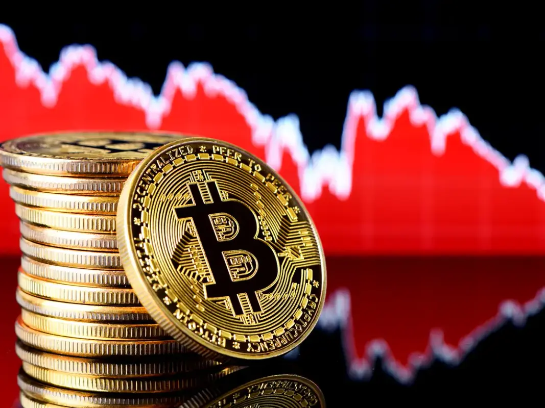 «بيتكوين» تتراجع لـ29381.9 دولار و«Binance coin» ترتفع لـ240.40