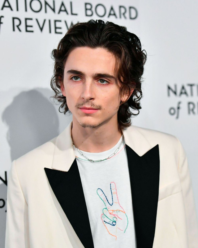 66d5223e75616c70ae542050613b66c515-09-timothee-chalamet2xrverticalw1200-9dbc43025b7ab63e63be21f26cb5.jpg