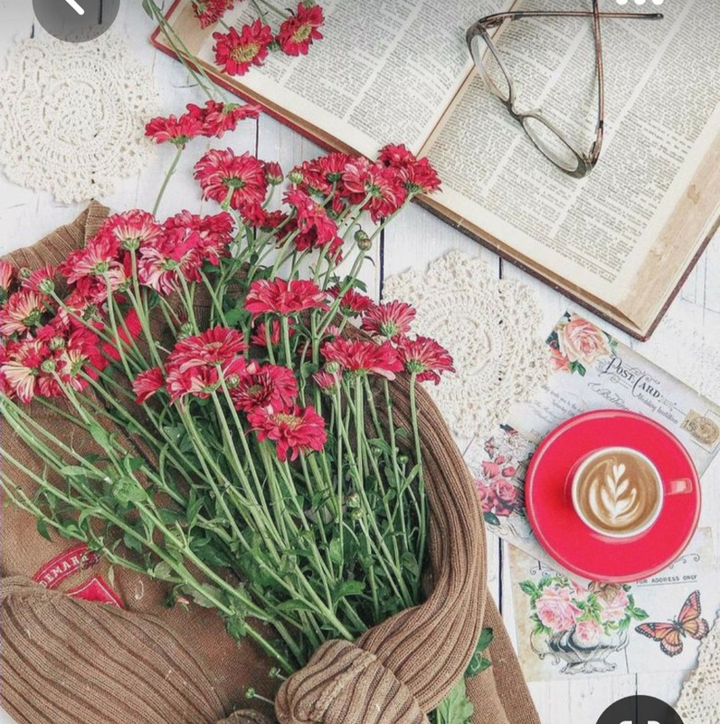 Screenshot_20230705_223637_Pinterest