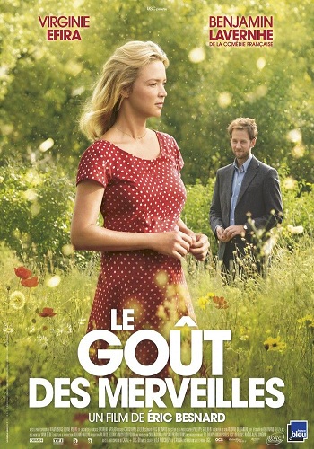 Le Goût Des Merveilles [2015][DVD R2][Spanish]
