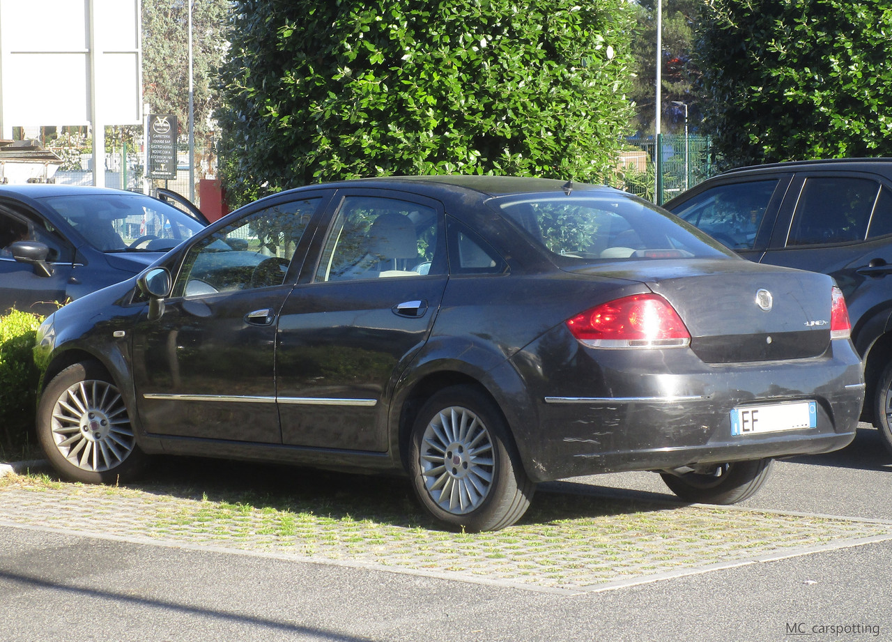 IMG-8475.jpg
