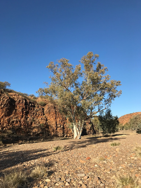 2019 MadiganLine-SimpsonDesert TRIP (1294)