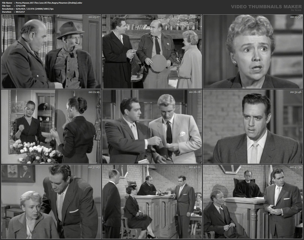 Perry.Mason.107.The.Case.Of.The.Angry.Mourner.(Dvdrip).mkv