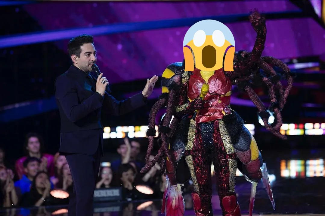 ¿Quién es la máscara?, edición Teletón 2023: Qué famosos fueron los personajes